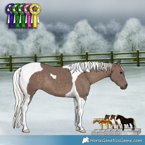 Horse Color:Silver Black Tobiano 