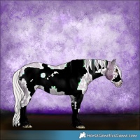 Horse Color:Watercolor White Spotted Silver Black Ice Pearl Sabino Frame 