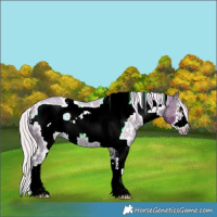 Horse Color:Watercolor White Spotted Silver Black Ice Pearl Sabino Frame