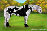Horse Color:Watercolor White Spotted Silver Black Ice Pearl Sabino Frame 