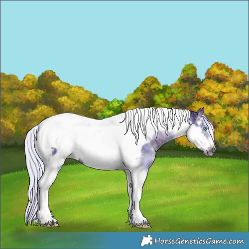Horse Color:Watercolor Silver Brown Ice Sabino Tobiano Frame Rabicano 