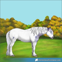 Horse Color:Watercolor Silver Brown Ice Sabino Tobiano Frame Rabicano 