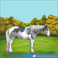 Horse Color:Watercolor White Spotted Silver Brown Ice Tobiano Rabicano