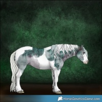 Horse Color:Watercolor White Spotted Silver Brown Ice Tobiano Rabicano 