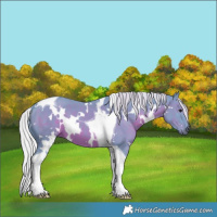 Horse Color:Watercolor White Spotted Silver Black Tobiano 