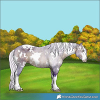Horse Color:Watercolor White Spotted Silver Brown Ice 
