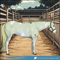 Horse Color:Watercolor White Spotted Red Dun Tobiano 