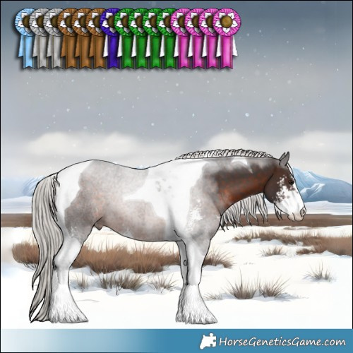 Horse Color:Silver Brown Sabino Tobiano 