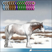 Horse Color:Silver Brown Sabino Tobiano