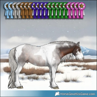 Horse Color:Silver Brown Sabino Tobiano 