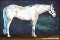 Horse Color:Watercolor Bay Ice Sabino Frame