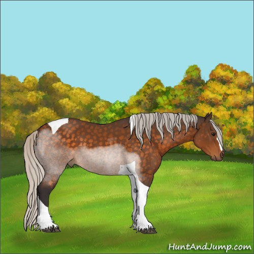 Horse Color:Silver Buckskin Tobiano 