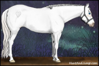 Horse Color:Silver Bay Ice Dun Sabino Splash Frame Rabicano 