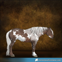 Horse Color:White Spotted Silver Black Mushroom 