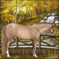 Horse Color:Liver Chestnut Pearl 