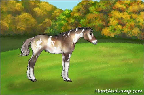 Horse Color:White Spotted Silver Brown Onyx 