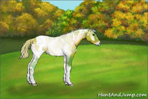Horse Color:Watercolor White Spotted Silver Brown Onyx 