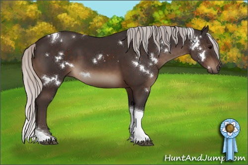 Horse Color:White Spotted Silver Brown Tobiano 