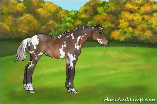 Horse Color:White Spotted Silver Brown Mushroom 