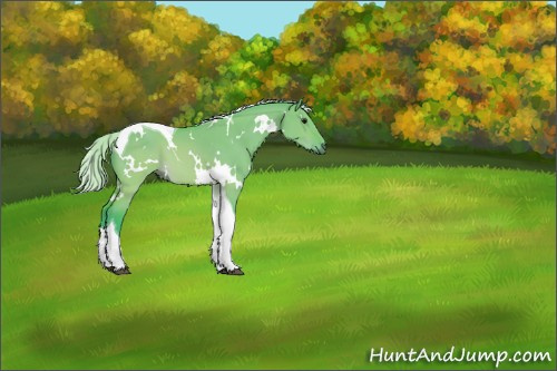 Horse Color:Watercolor White Spotted Silver Brown Dun Tobiano 