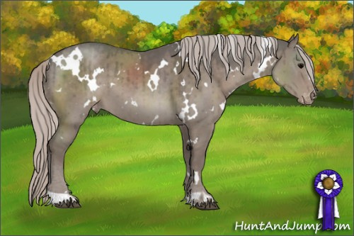 Horse Color:White Spotted Silver Grullo Appaloosa Brindle 