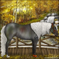 Horse Color:Liver Chestnut Mushroom Rabicano