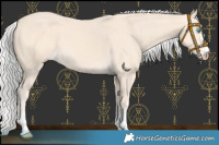 Horse Color:Silver Perlino 