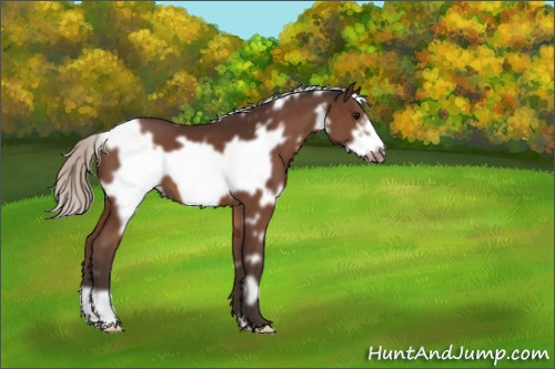 Horse Color:White Spotted Silver Brown Frame 