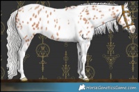Horse Color:Silver Sable Champagne Splash Tobiano Appaloosa 