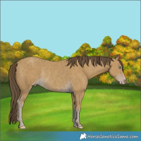 Horse Color:Classic Cream Champagne Rabicano 