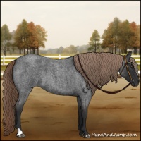 Horse Color:Liver Red Roan 