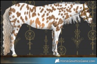 Horse Color:Chocolate Palomino Leopard 