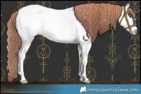Horse Color:Red Roan Splash Near Fewspot