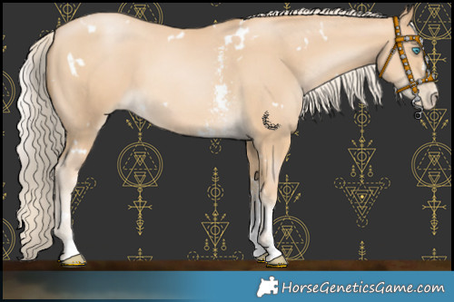 Horse Color:White Spotted Palomino Pearl Sabino 