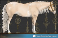 Horse Color:White Spotted Palomino Pearl Sabino 