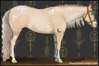 Horse Color:White Spotted Palomino Pearl Sabino