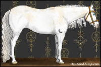 Horse Color:White Spotted Palomino Pearl Dun 