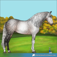 Horse Color:Gray Silver Brown Tobiano 
