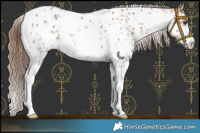 Horse Color:White Spotted Chestnut Sabino Near Leopard