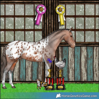 Horse Color:White Spotted Bay Tobiano Appaloosa Rabicano 