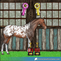 Horse Color:White Spotted Bay Tobiano Appaloosa Rabicano 