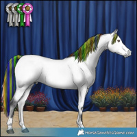 Horse Color:Platinum Painted Bay Chinchilla Onyx 
