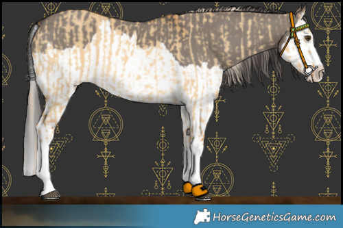 Horse Color:Palomino Dun Splash and Smoky Grullo Splash