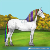 Horse Color:ERROR: UNKNOWN ANOMALY
