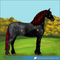 Horse Color:ERROR: UNKNOWN ANOMALY