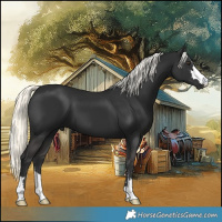 Horse Color:Liver Chestnut Mushroom 