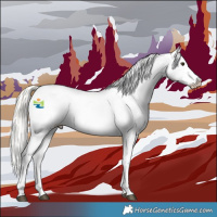 Horse Color:Liver Red Dun Mushroom Appaloosa 