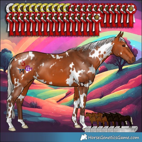Horse Color:White Spotted Silver Bay 