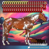 Horse Color:White Spotted Silver Bay