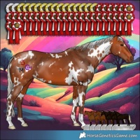 Horse Color:White Spotted Silver Bay 